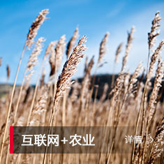 J9国际集团(中国)-官方网站
